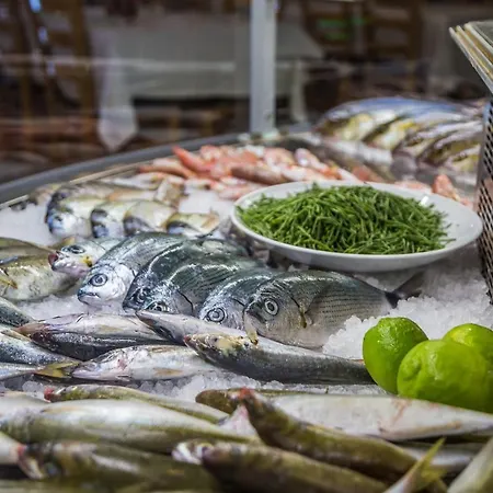 Captain Karas Holidays